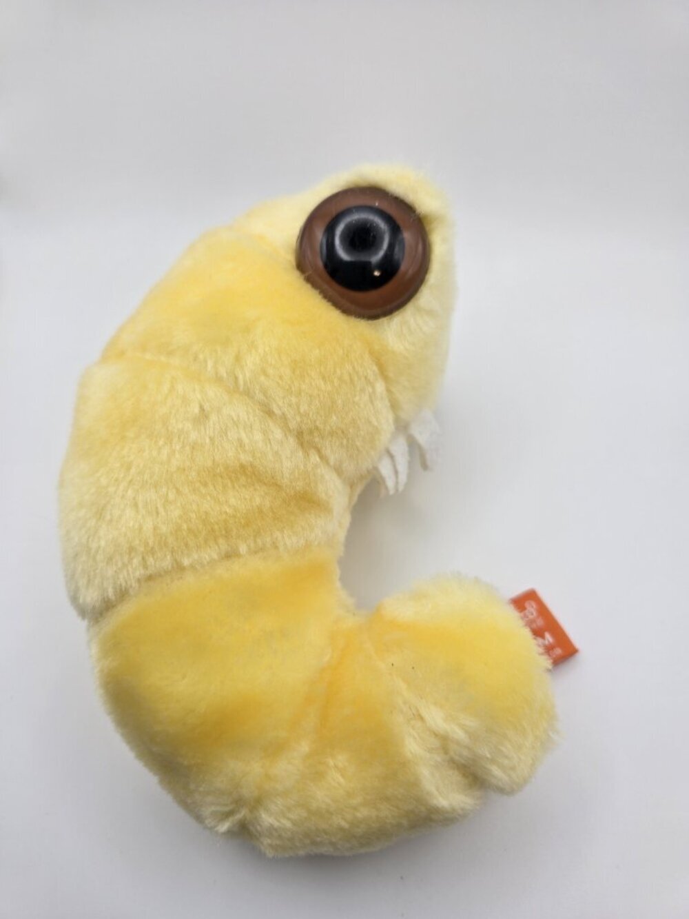 GIANT MICROBES BOOKWORM~ Stuffed Plush Tardigrade Biology Science Toy